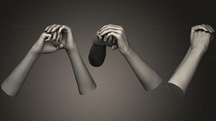 Анатомия скелеты и черепа (Женские руки 6, ANTM_0477) 3D модель для ЧПУ станка